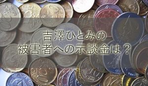 吉澤ひとみの示談金の金額や罪は？活動は引退か無期限活動禁止か【飲酒ひき逃げ】