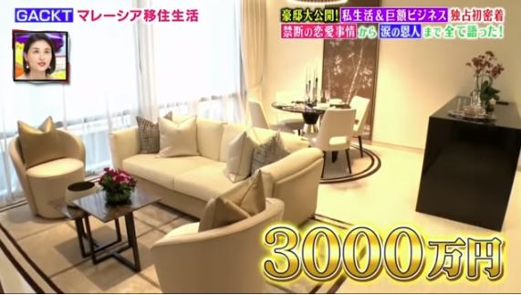 ガクト　収入源　年収11